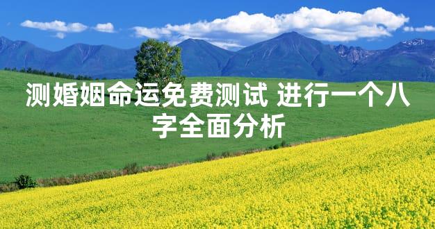 测婚姻命运免费测试 进行一个八字全面分析